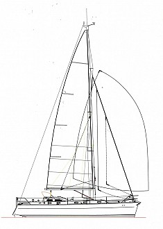 Shearwater 39